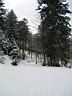 c Paysage de neige entre col du Page et chemin Frederic.JPG
